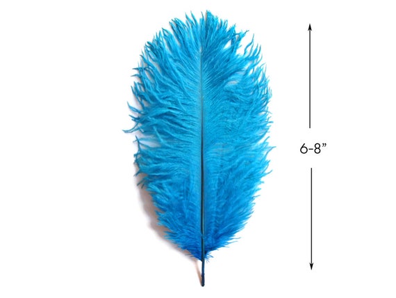 Mini Ostrich Feathers 1 Pack Turquoise Blue Ostrich Small 