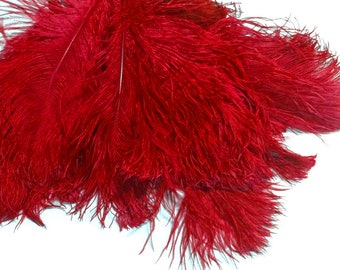 USA Feathers, 10 Pieces -  12-16" Red Dyed Ostrich Tail Fancy Feathers Centerpiece Craft Supplier : 3368