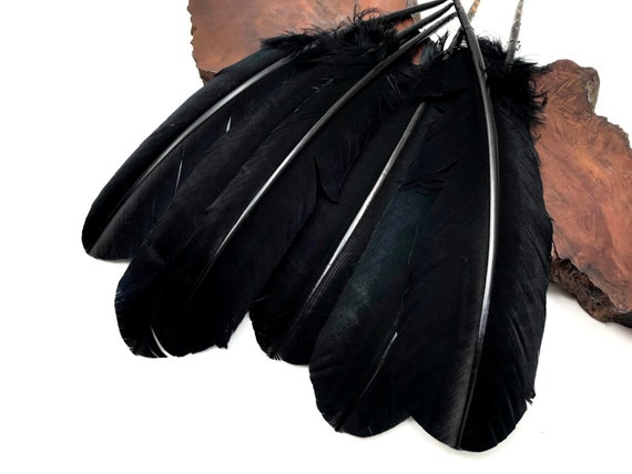 Wing Feathers, 1/4 Lb Black Turkey Rounds Secondary Wing Quill Wholesale Feathers  bulk Craft Supply : 2151 