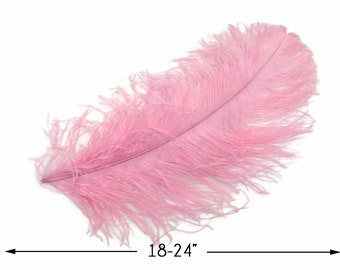 Ostrich Plumes, 2 Pieces - 18-24" Baby Pink Large Prime Grade Ostrich Wing Plume Centerpiece Feathers : 3540