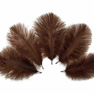 May include: Six brown ostrich feathers arranged in a fan shape. The feathers are soft and fluffy, with a natural brown color.