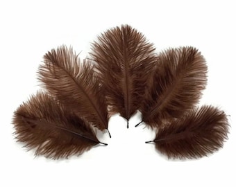 Mini Feathers, 1 Pack - Brown Ostrich Small Confetti Feathers 0.3 Oz Fly Tying Wedding Craft Supply : 3801