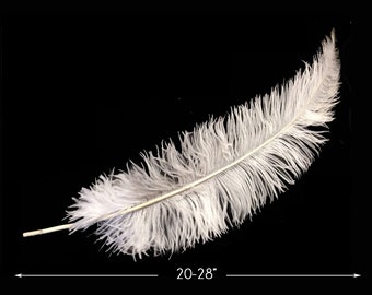 Super Long Feathers, 10 pieces - 20-28" White Ostrich Feather Spads Craft Wedding Centerpiece Supply : 3512