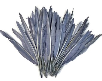 Duck Pointers, 1 Pack - Silver Gray Dyed Duck Primary Wing Pointer Feathers 0.50 Oz. : 3971