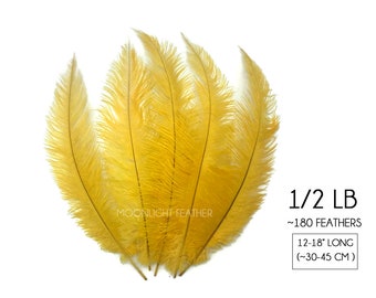 Ostrich Feathers, 1/2 Lb - 12-18" Golden Yellow Mini Spads Ostrich Wholesale Chick Body Feathers (Bulk) Centerpiece Halloween Craft : 4476