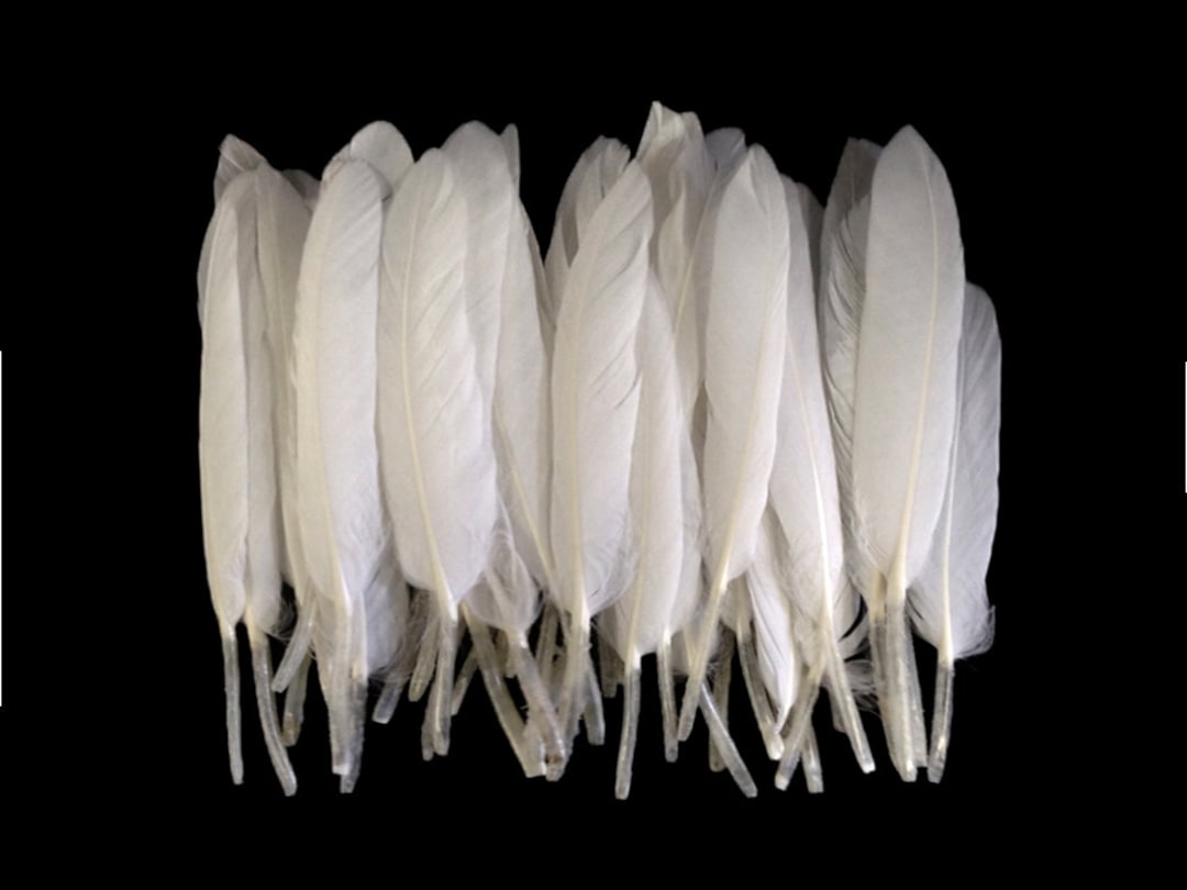 Bulk Goose Satinette Feathers Dyed - White - 1/4 lb