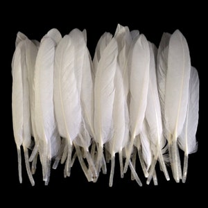White Duck Feathers, 1 Pack Natural White Duck Cochettes Loose Feathers 0.30 oz. Craft Supply : 448 image 1