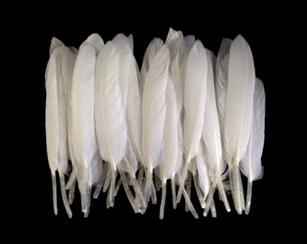 White Duck Feathers, 1 Pack - Natural White Duck Cochettes Loose Feathers 0.30 oz. Craft Supply : 448