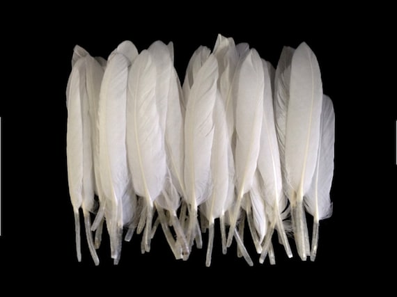 15 Garden supplies from the dollar store - Feathers in the woods
