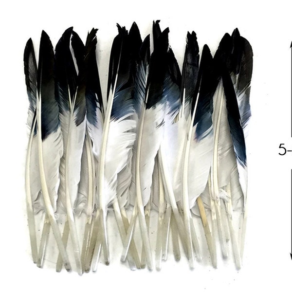 Eagle Feathers, 1 Pack - Black Tipped Dyed Duck Primary Wing Pointer Feathers 0.50 Oz. : 3297