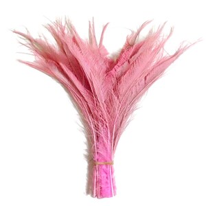 USA SELLER, 5 Pieces - 10-12" Baby Pink Bleached & Dyed Peacock Swords Cut Feathers Wedding Boho Fly Tying Decor Supply : 3563 image 2