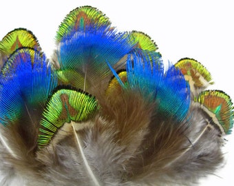 Small Peacock Feathers, 20 Pieces - Mix Iridescent Blue, Green & Gold Peacock Plumage Loose Feathers : 469