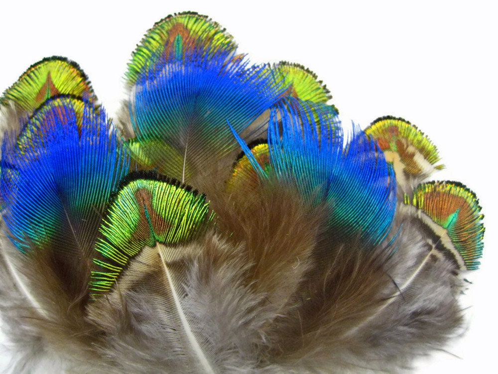 【極美品】UA / FINE FEATHERS MAKE FINE BIRDS FINE FEATHERS MAKE FINE BIRDS | DISCO | UA
