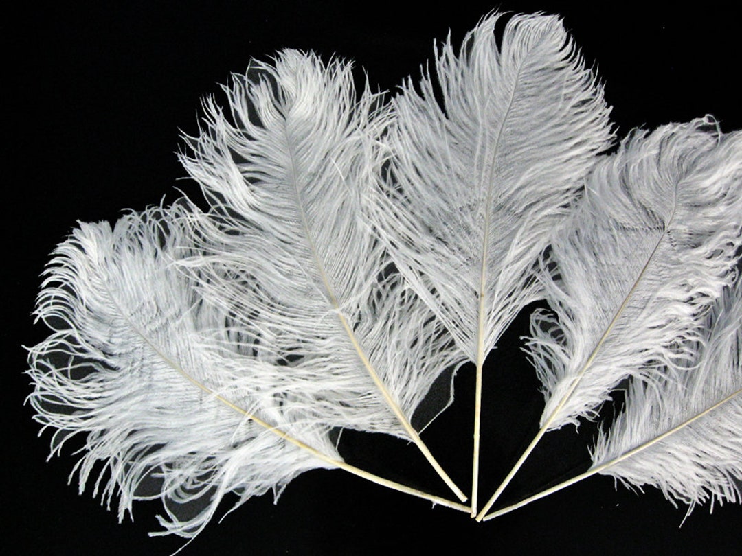 Ostrich Feathers, 50 Pieces 12-16 White Ostrich Tail Centerpiece Costume  Wholesale Feathers bulk : 4507 