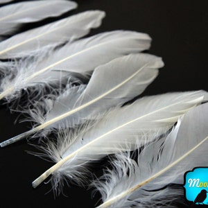 White Goose Feathers, 1/4 lb WHITE Goose Satinettes Wholesale Loose Feathers bulk : 2328 image 3