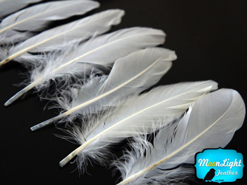 White Goose Feathers, 1/4 lb WHITE Goose Satinettes Wholesale Loose Feathers bulk : 2328 image 3