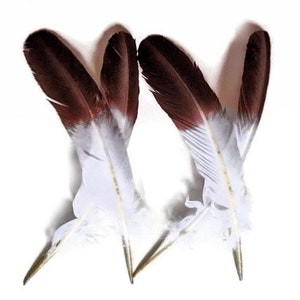 Eagle Feathers, 6 Pieces - Brown Tipped "Imitation Eagle" Turkey Tom Rounds Secondary Wing Quill Feathers : 2150
