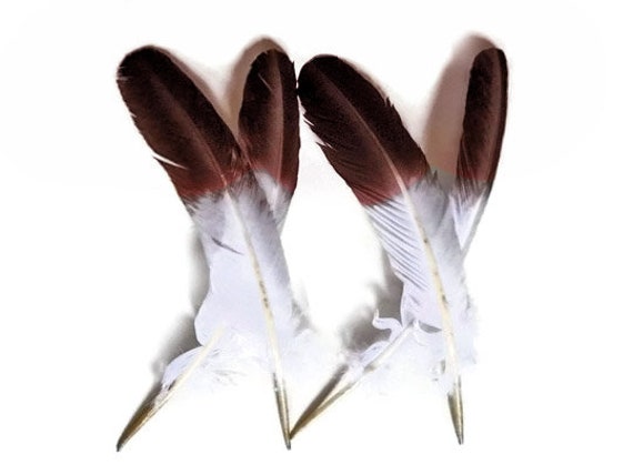 1 Lb. - Red Turkey Tom Rounds Secondary Wing Quill Wholesale Feathers (Bulk)