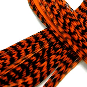 6 Pieces - XL Orange Grizzly Thin Whiting Farm Rooster Hair Extension Feathers 11” and Up Fly Tying Summer : 459