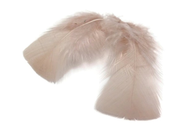 50pcs Feathers,turkey Feathers,white Feathers,fluffy Feathers,bulk,natural  Feathers,wholesale Feathers 13cm 18cm Long 