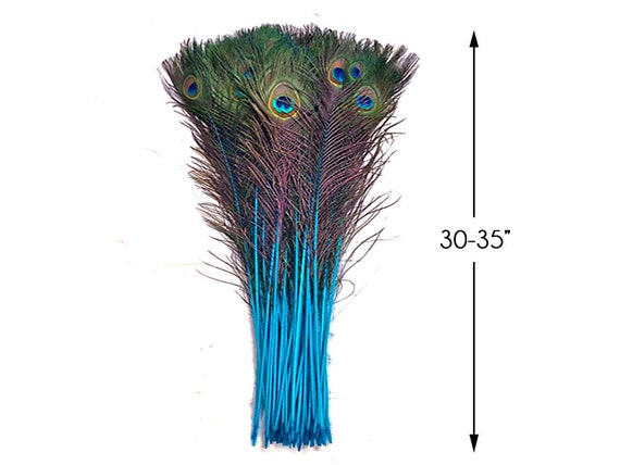 25 pc, Peacock Feathers, Stem Dyed, MANY COLORS OPTIONS, Natural Eye,  30-35, per 25 (Blue)
