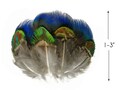 USA SELLER, 20 Pieces - Mix Iridescent Blue, Green & Gold Peacock Plumage Loose Feathers Millinery, Fly Tying Craft Supply : 469