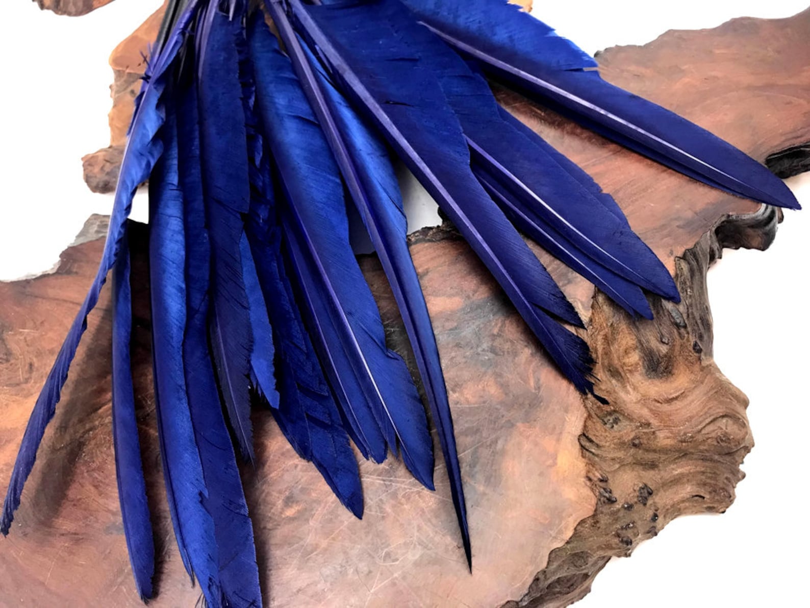 Wing Feathers 1/4 Lb. Navy Blue Goose Pointers Long Etsy