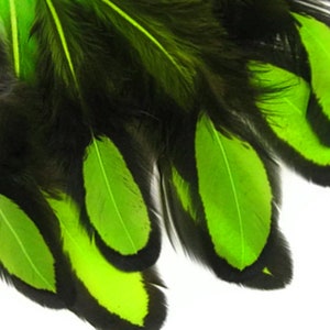 Laced Feathers, 1 Dozen Lime Green Whiting Farms Laced Hen BLW Saddle Feathers Craft Fly Tying Supply : 378 image 7