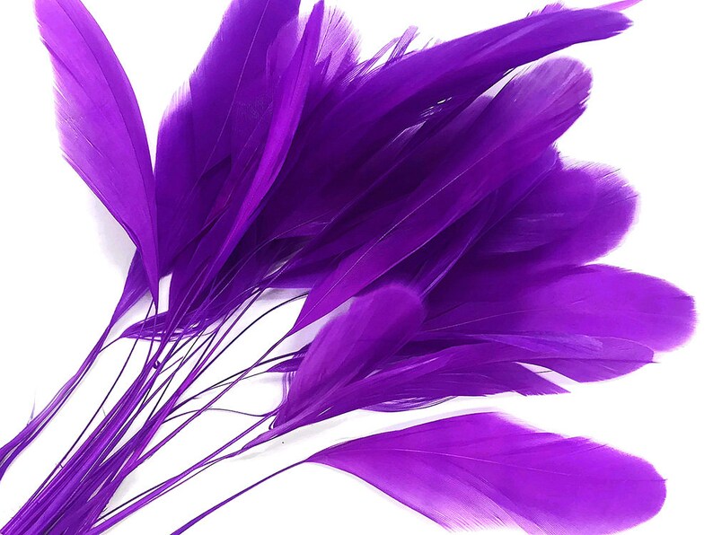 1 Dozen PURPLE Stripped Rooster Coque Tail Feathers Eyelash Feathers 537