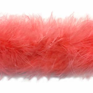 May include: A long strip of bright pink feather boa. The boa is soft and fluffy, and it is perfect for adding a touch of glamour to any outfit.