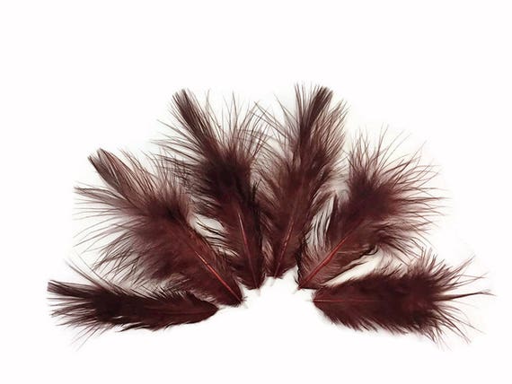 USA SELLER Solid Lime Green Rooster Fluff Chickabou Feathers 1 Dozen
