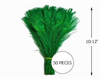 USA SELLER, 50 Pieces – Kelly Green Bleached & Dyed Peacock Tail Eye Wholesale Feathers (Bulk) 10-12” Long Halloween Craft Supply : 1350
