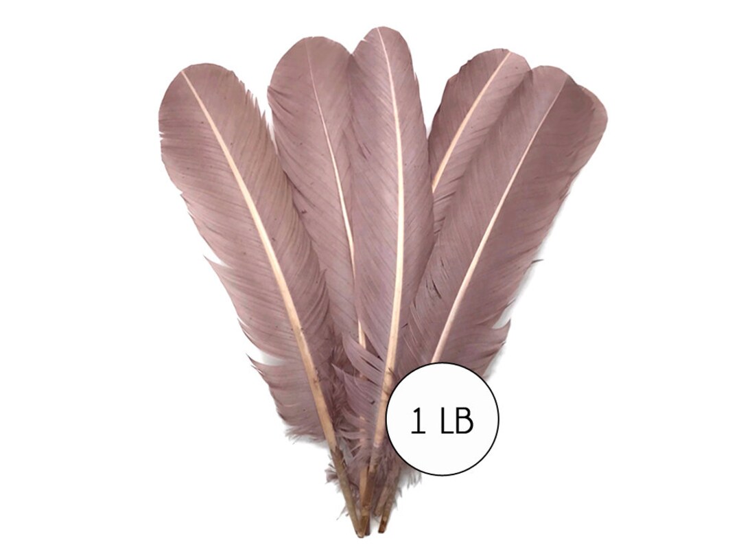 THARAHT Lot de 24 plumes naturelles en forme d'aile de dinde sauvage en vrac 15-20 cm pour loisirs créatifs, collection, décoration de mariage, queue de dinde sauvage, plumes