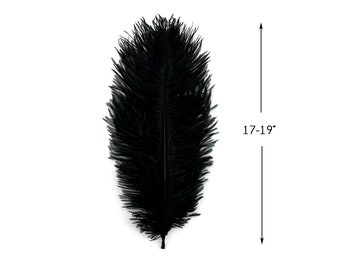 Large ostrich plumes, 10 Pieces - 17-19" Black Large Bleached & Dyed Ostrich Drabs Body Feathers Halloween Costume : 3216