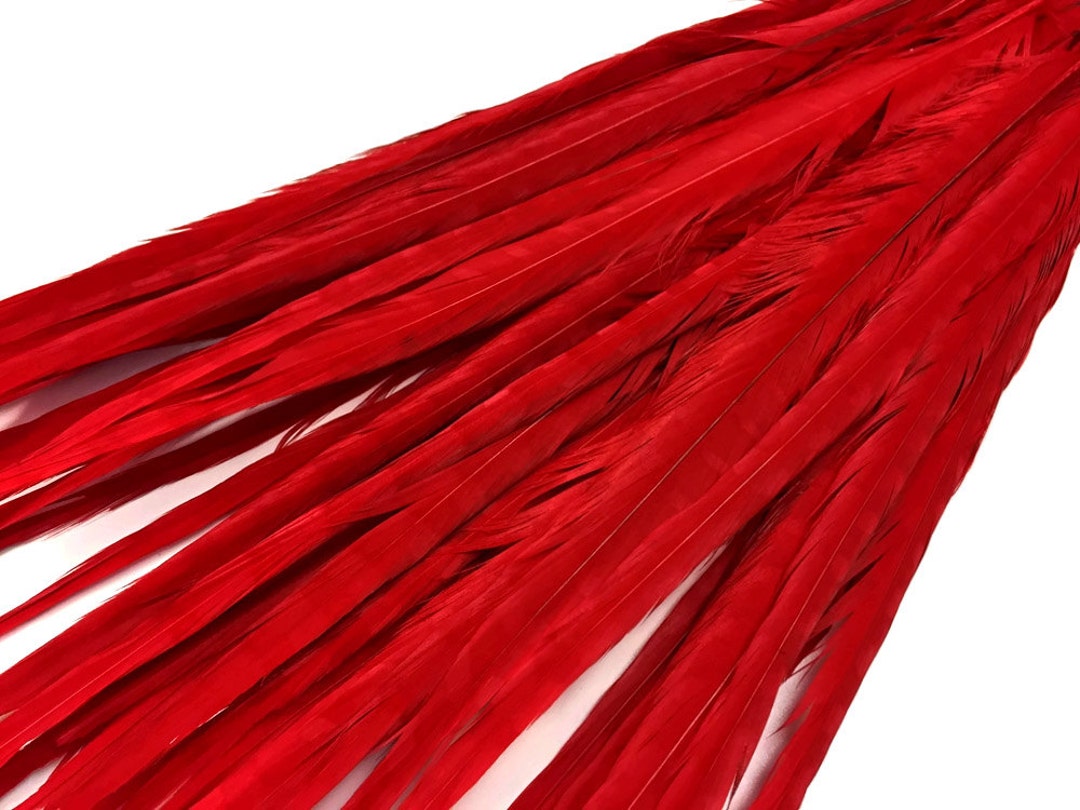Feather Supply 50 Pieces 2022 Red Bleached and Dyed Etsy