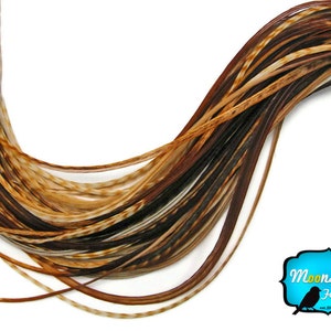 Hair Feathers, 6 Pieces - XL UNIQUE GINGER Thin Grizzly Rooster Hair Extension Feathers : 217