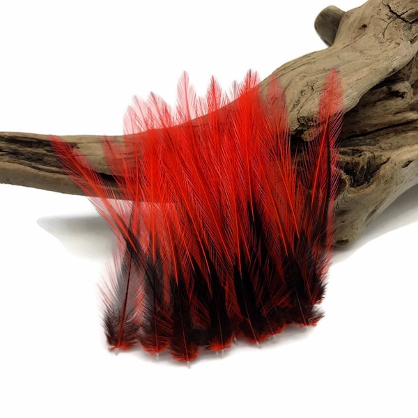Red Laced Pointy Feathers, 10 Pieces - Red Dyed BLW Laced Short Rooster Cape Whiting Farms Feathers Craft Supply : 2207