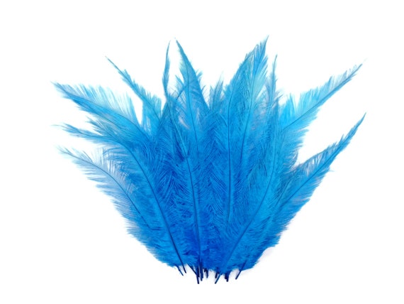 100 Pieces - 11-13 Royal Blue Ostrich Drabs Wholesale Body Feathers (Bulk)  Centerpiece Costume Craft Supply