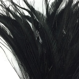 VENDEDOR DE EE. UU., 5 piezas - Espadas de pavo real de 25 a 30 cm, decoloradas y teñidas en negro, plumas cortadas, para Halloween, carnaval, bodas: 3917
