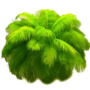 200 Feathers 9-13 Lime Green Ostrich Drab Body Plumage Wholesale Feathers Bulk Carnival Party Centerpiece : 2095-D image 9