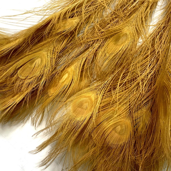 Gold Feather Costume Etsy