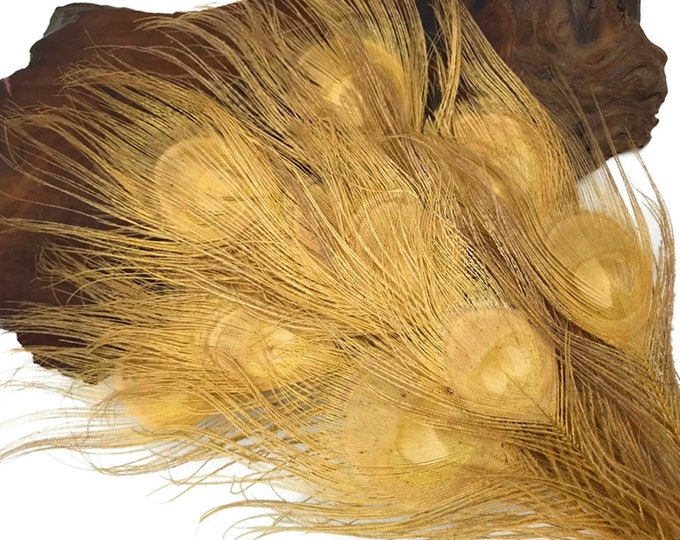 10PCS Natural Peacock Feathers - Real Tail Eye Feathers 10-12" For Wedding Decor, DIY Crafts, Centerpieces