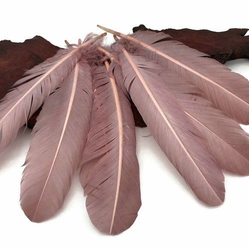 Wing Feathers, 1 Lb - Taupe Turkey orders Rounds Wing Quill Wholesale Feathers (Bulk) Halloween Craft Supplier : 4966