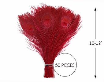 50 Pieces – Red Bleached & Dyed Peacock Tail Eye Wholesale Feathers (Bulk) 10-12” Long Halloween Craft Supply : 1298