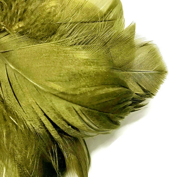 Goose Feathers, 1 Pack - 2-3" Olive Green Goose Coquille Loose Feathers - 0.35 Oz. Halloween Wedding Craft Supplies : 5009