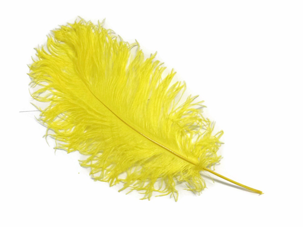 Ostrich Feathers, 10 Pieces 12-16 Black Dyed Ostrich Tail Fancy Feathers  Centerpiece Craft Supplier : 2267 