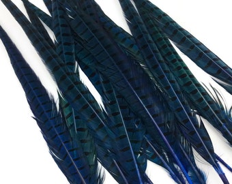 Carnival Feathers, 50 Pieces - 18-22" Blue Dyed Over Natural Long Ringneck Pheasant Tail Wholesale Feathers (Bulk) : 4464