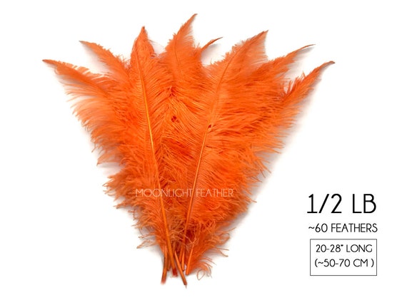 White Duck Feathers, 1 Pack Natural White Duck Cochettes Loose Feathers  0.30 Oz. Craft Supply : 448 