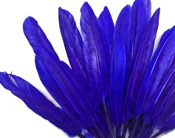 Duck Feathers, 500 Pieces - Royal Blue Duck Cochettes Wholesale Loose Feathers (Bulk) Craft Supply: 3136