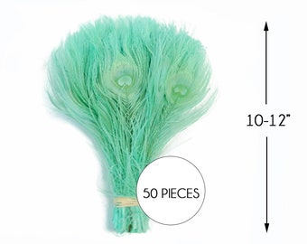 50 Pieces - Aqua Green Bleached & Dyed Peacock Tail Eye Wholesale Feathers (Bulk) Craft Supply : 3249